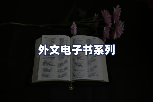 外文电子书系列